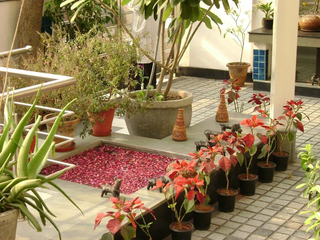 B Nineteen New Delhi Bagian luar foto